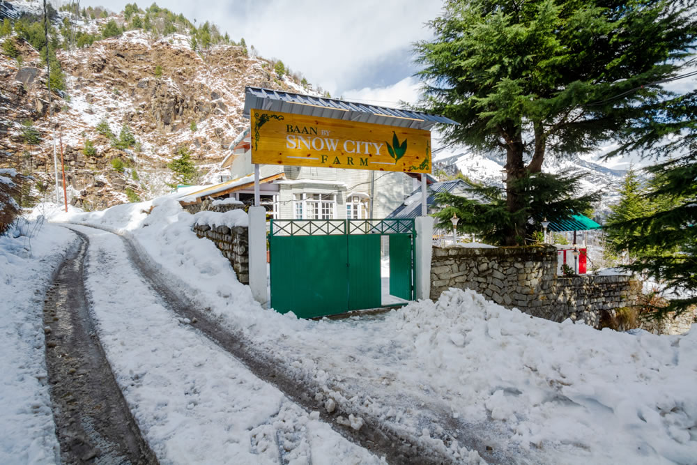  manali hotel 